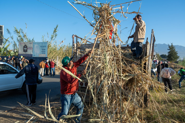 Vecinas y vecinos de Cinco Señores transforman su entorno a través del tequio