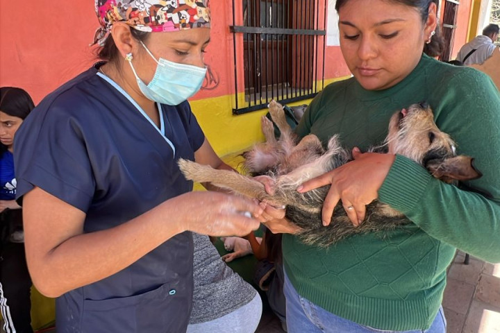 Más de 25 mil vecinas y vecinos de Oaxaca de Juárez beneficiados con las Jornadas Territorios y Cayapadu Lii