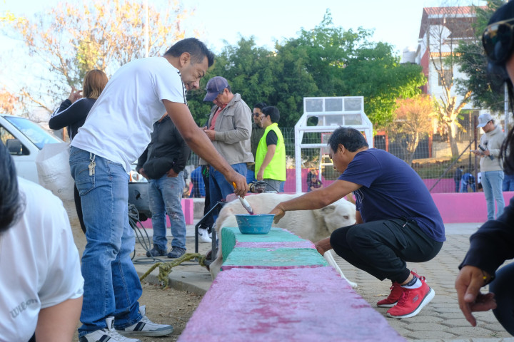 Tequio Vecinal en el Fraccionamiento Ríos, se traduce en acciones de embellecimiento y un entorno más seguro
