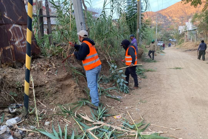 Se realizan trabajos de poda y limpieza para mantener en buen estado los espacios públicos de Oaxaca de Juárez