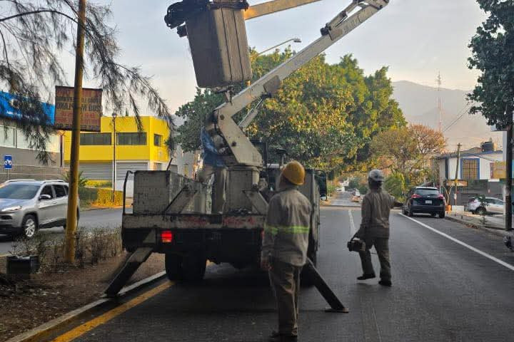 Se realizan trabajos de poda y limpieza para mantener en buen estado los espacios públicos de Oaxaca de Juárez