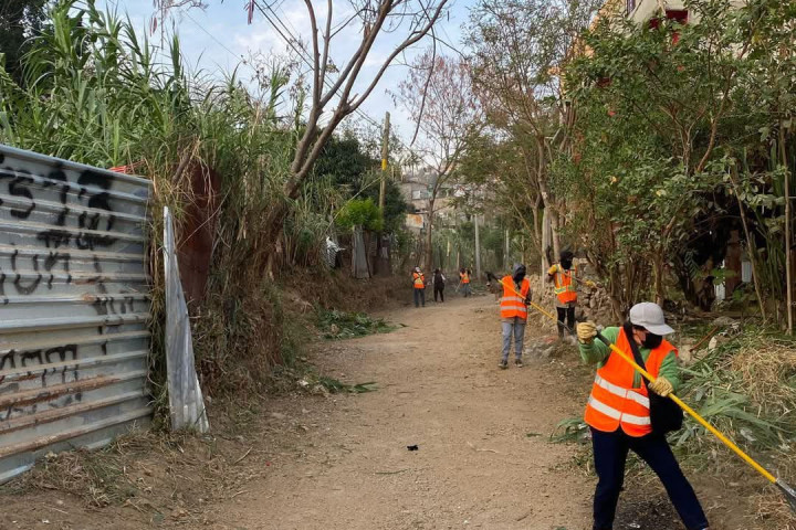 Se realizan trabajos de poda y limpieza para mantener en buen estado los espacios públicos de Oaxaca de Juárez