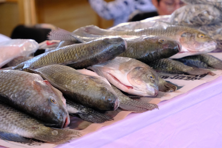 Inicia Tianguis Cuaresma 2025 en la Plaza de la Danza