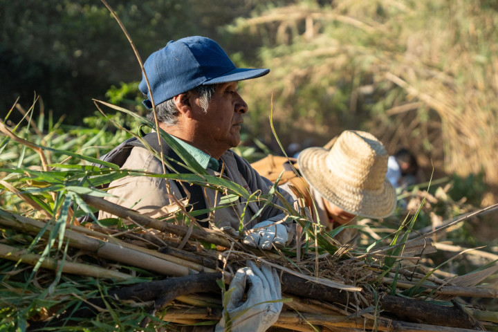 Vecinas y vecinos se unen en Tequio para mejorar su colonia