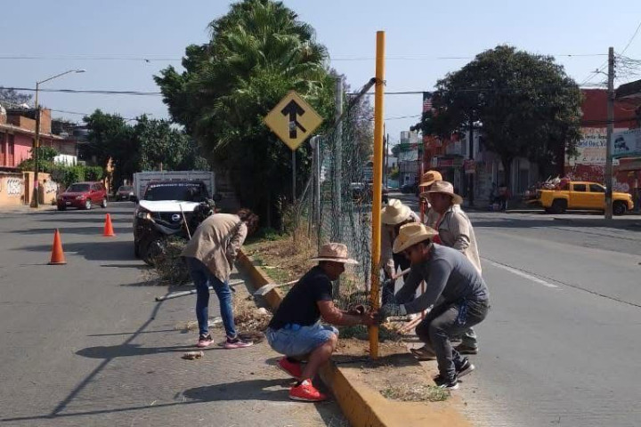Continúan acciones de mantenimiento urbano en beneficio de las y los capitalinos