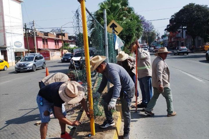 Continúan acciones de mantenimiento urbano en beneficio de las y los capitalinos