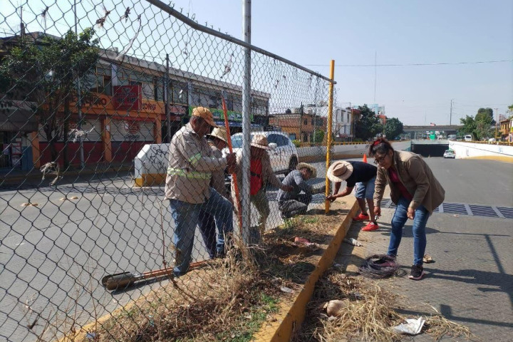 Continúan acciones de mantenimiento urbano en beneficio de las y los capitalinos