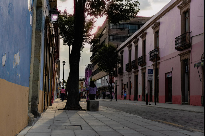 Oaxaca Camina transforma el corazón del Centro Histórico