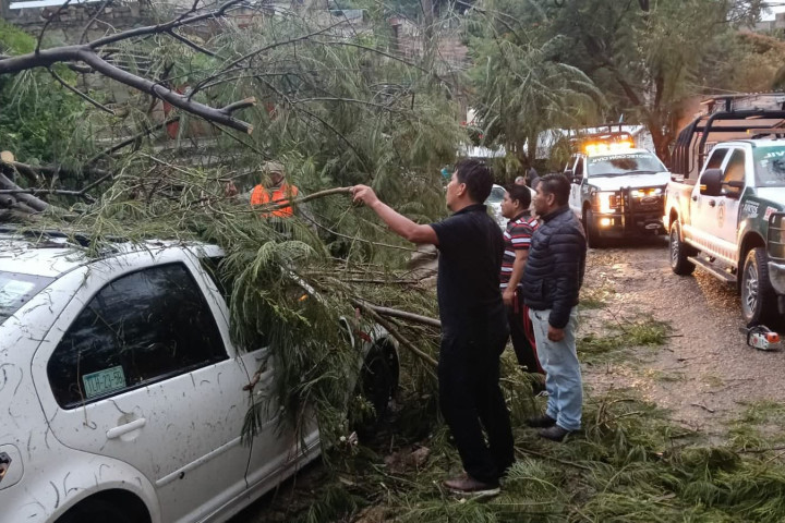 Atienden de inmediato reportes por caída de árboles y encharcamientos en Oaxaca de Juárez